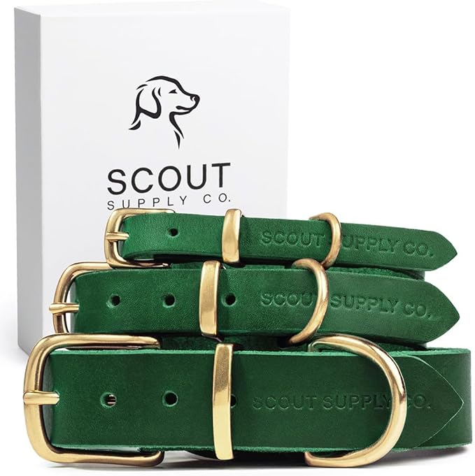 Classic Genuine Leather Dog Collar | Dog Collars for Medium Dogs, Small Dogs, Large Dogs & Extra Large Dog | Wide Dog Collar | Heavy Duty Collar (Green, Large)