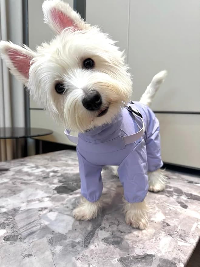 Mile High Life Waterproof Dog Raincoat, Full Coverage Small Dog Rain Coat with Harness, Adjustable 4 Legs Puppy Rain Jacket with Reflective Strip and Elastic Cuffs (Purple, XXS Back Length 9.8")