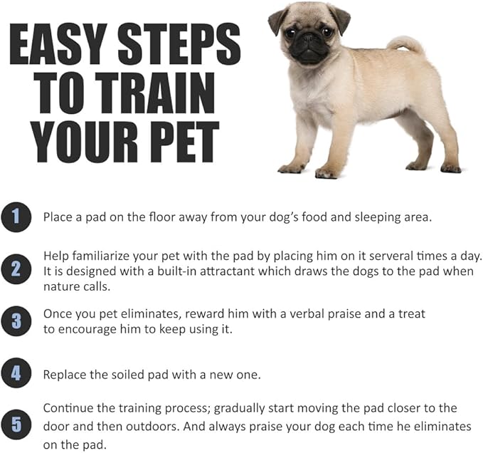 BV Charcoal Puppy Pads 600 Count 22"x22" - Leak-Proof Pee Pads for Dogs with 6-Layer Absorbent Design & Built-in Attractant - Dog Pad with Charcoal for Odor Control, Perfect for Puppies & Senior Dogs