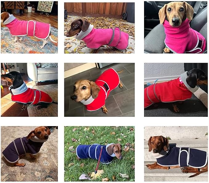 Geyecete Dachshund Sweaters for Dogs Jacket, Dachshund Coat Winter Coat with Padded Fleece Lining and High Collar, Dog Snowsuit with Adjustable Bands Sizes-Green-L