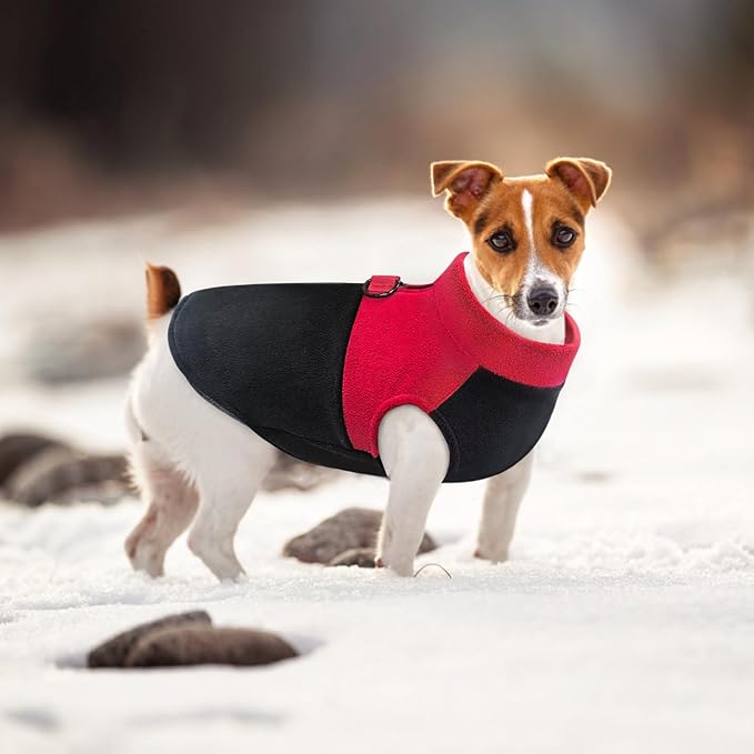 Idepet Dog Fleece Vest Sweater Zip Up Warm Pullover Dogs Jacket with D-Ring Leash Winter Cold Weater Coat Pet Sweatershirt Clothes Hoodie for Small Medium Dogs Boy Girl (Red/Black, XXS)
