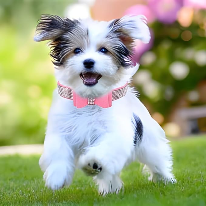 Serijoars Small Dog Collar with Rhinestone Crystal Diamond Colorful Bling Girl Puppy Cat Collars (M, Pink1)