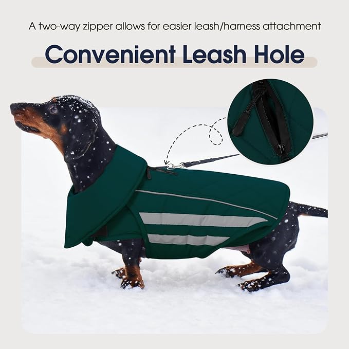 IECOii 4XL Winter Dog Coat - Waterproof & Reflective & Adjustable, Warm Fleece Jacket for Great Dane, Snow & Rain Walking, Skiing, Green, Sizes XXXXL