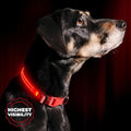 ILLUMISEEN LED Dog Collar USB Rechargeable - Bright & High Visibility Lighted Glow Collar for Pet Night Walking - Weatherproof, in 6 Colors & 6 Sizes (Red Medium)