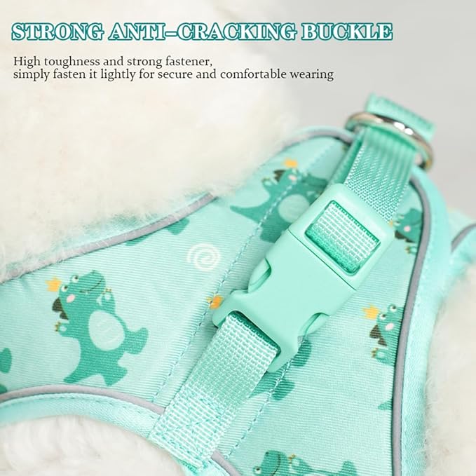 Step in Dog Harness and Leash Set, Flower Adjustable Easy Walk Puppy Harnesses, Soft Mesh No Pull Pet Vest Harness for Small Dogs and Cats(Green, XXS)
