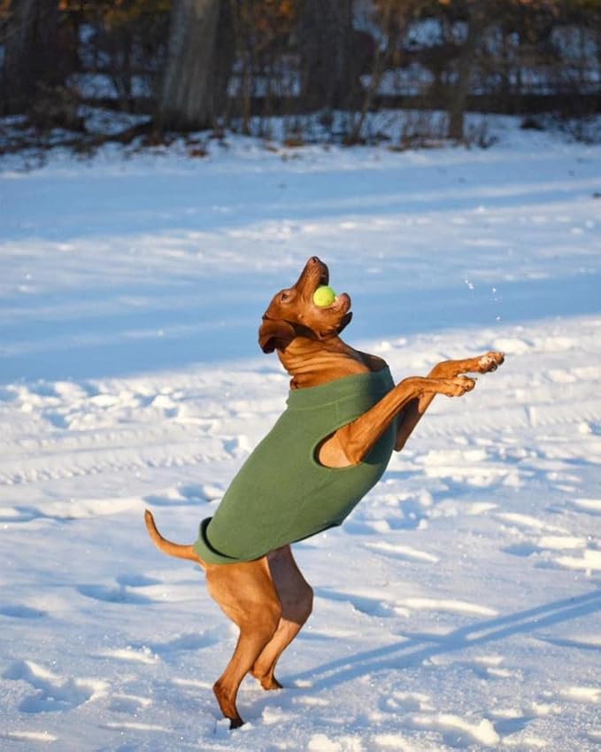 Gooby - Stretch Fleece Vest, Pullover Fleece Vest Jacket Sweater for Dogs, Forest Green, 4X-Large