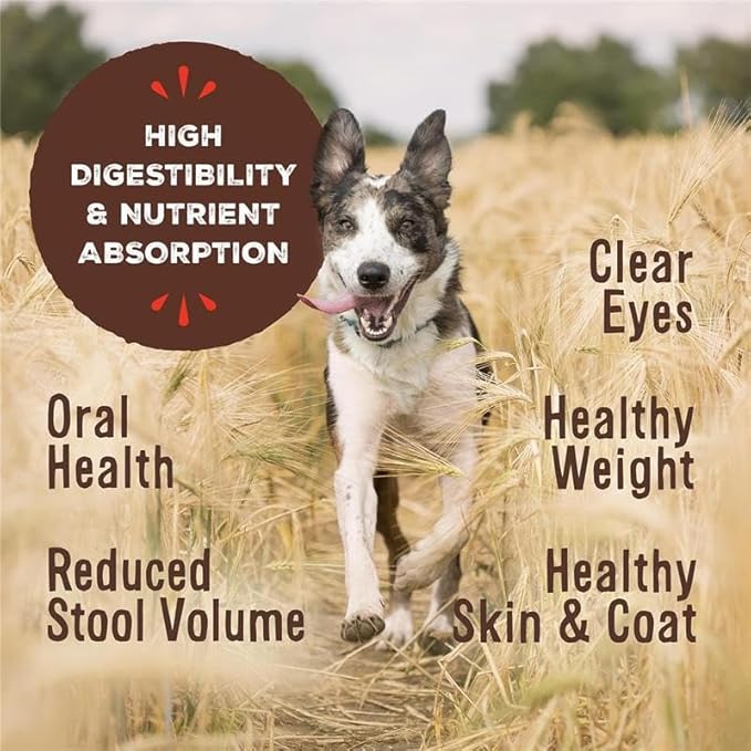 Primal Freeze Dried Dog Food, Pronto Mini Nuggets, Pork; Scoop & Serve, Complete & Balanced Meal; Also Use As Topper or Treat; Premium, Healthy, Grain Free, High Protein Raw Dog Food (25 oz)