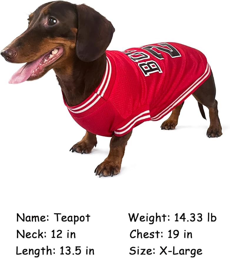 Dog Clothes Basketball Mesh Breathable T-Shirt,Pet Clothes Puppy Sportswear Spring/Summer Fashion Dog Shirt. (Orange, Large)