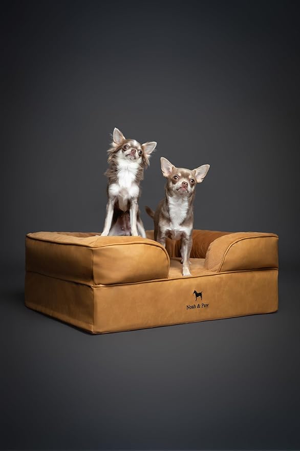 NOAH & PAW Dog Bed, 28x23x11 Inch, Orthopedic Dog Beds for Medium Size Pets, Eggshell Memory Foam Infused with Cooling Gel, Inner Cover, Waterproof, Machine Washable (Faux Leather Sofa Collection)