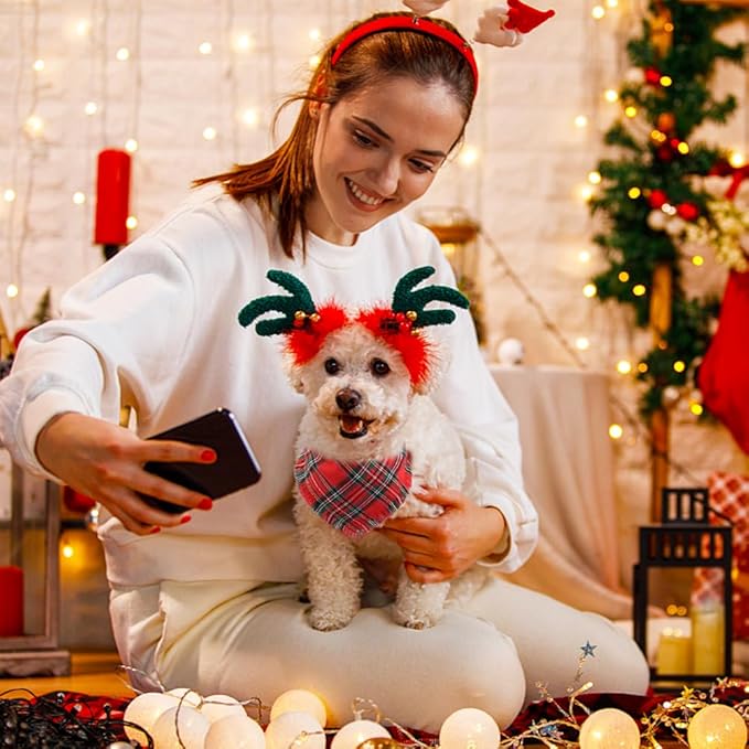 Vivifying Dog Christmas Bandana with Tassels Edges, 2 Pack Classic Plaid Triangle Pet Apparel & Accessories, Funny Holiday Dog Scarf Costume for Photo Prop, and Party Decor (Small, Red&Green)