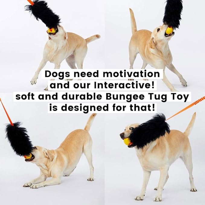 HOWGO Dog Rope Toy,Dog Bungee Chaser Toy 100% Sheepskin,Sheep Smell Tug Toy for All Breeds (Black, Short Without Ball)