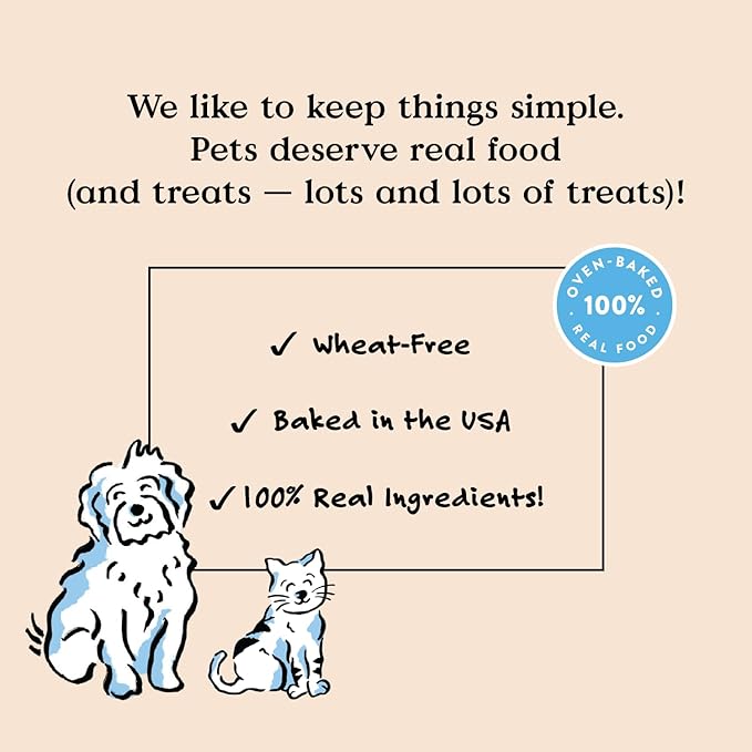 Bocce's Bakery Dailies Brushy Bites Dog Treats for Wellness Support, Wheat-Free Dog Treats, Made with Real Ingredients, Baked in The USA, All-Natural Soft & Chewy, Apple & Mint Recipe, 6 oz