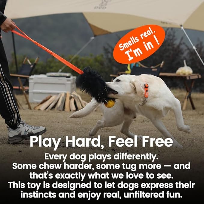 HOWGO Dog Rope Toy,Dog Bungee Chaser Toy 100% Sheepskin,Sheep Smell Tug Toy for All Breeds (Purple, Long Without Ball)