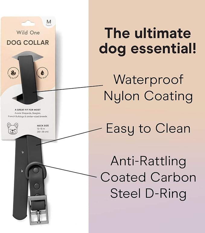 Wild One Dog Collar, Easy-Clean, All Weather Flex-Poly Strap with Metal, Durable, Dirt and Odor Resistant (Black, M)
