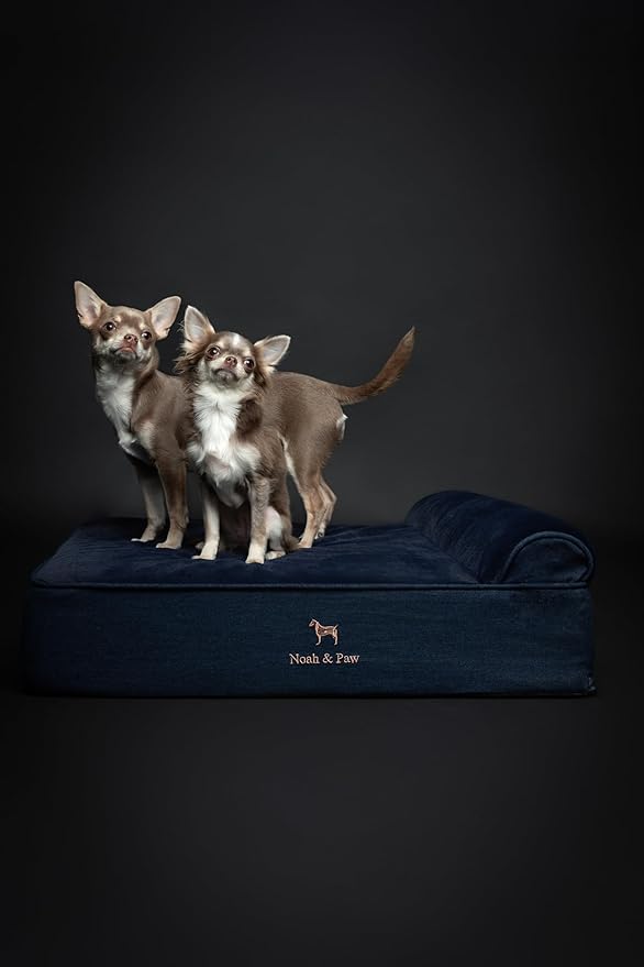 NOAH & PAW Dog Bed, 28x23x7.5 Inch, Orthopedic Dog Beds for Medium Size Pets, Eggshell Memory Foam Infused with Cooling Gel, Waterproof, Machine Washable, Includes Inner Cover (Denim Collection)