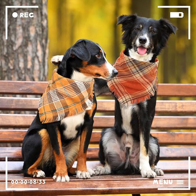 Vivifying Halloween Dog Bandanas, 2 Pack Thanksgiving Fall Classic Plaid Dog Scarf with Tassels Edges, Funny Pet Apparel & Accessories Costume for Photo Prop, and Party Decor (X-Large, Yellow&Orange)