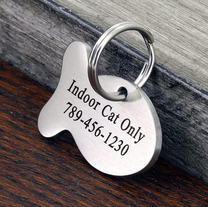 Ultra Joys Cat ID Tag Personalized Pet Tags, Durable Stainless Steel Small Pet Mini Dog Cat Tag Lightweight - Fish Tag in Silver