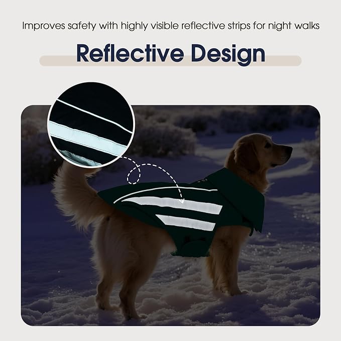 IECOii Dog Coat - Waterproof, Windproof Winter Coats for Light Rain & Snow Cold Weather, Reflective & Adjustable, Warm Fleece Lined, Dachshund, Green, Size M