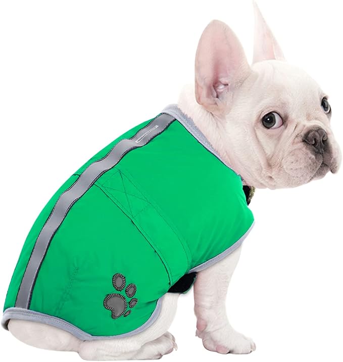 Queenmore Dog Winter Coat, Cold Weather Fleece Jacket for Dogs, Waterproof Reflective Reversible, for Small, Medium and Large Dogs (Green, S)
