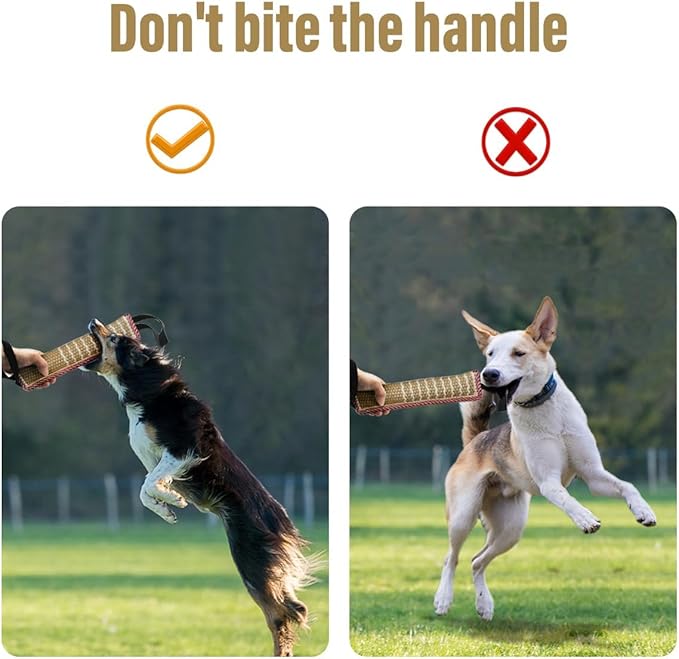 Interactive Dog Water Toys