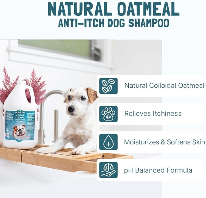 Bio-Groom Oatmeal Dog Shampoo - for Allergies and Itching, Cruelty-Free, Dog Bathing Supplies, Puppy Shampoo for Sensitive Skin, Made in USA, Anti-Itch Dog Products - 32 fl oz 1-Pack