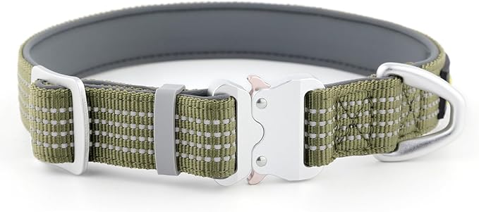 Plutus Pet Reflective Dog Collar with Aviation Aluminum Buckle, Neoprene Padded for Comfort, Lightweight, Heavy Duty Nylon Collar for Puppy Small Medium Large Dogs (Ranger Green, L)