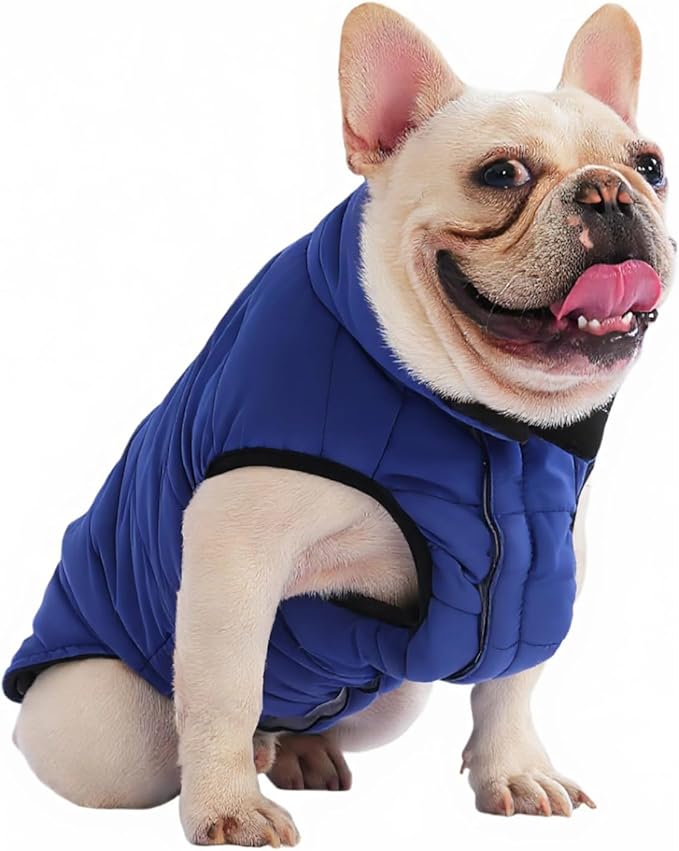 PetWarm Reversible Dog Cold Weather Coats, Waterproof Dog Puffer Vest, Vest for Dogs with Hook-and-Loop Strap, Windproof Outdoor Coat for Winter Walks and Snowy Days, Blue, 2XL