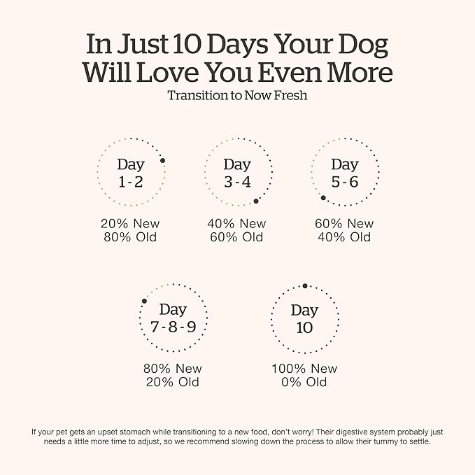 Now Fresh Grain-Free Senior Dry Dog Food with Turkey, Salmon & Duck, Premium Kibble Made with Real Meat & Fish, Chicken-Free Recipe, Glucosamine & Chondroitin for Healthy Joints, 12 lb Bag