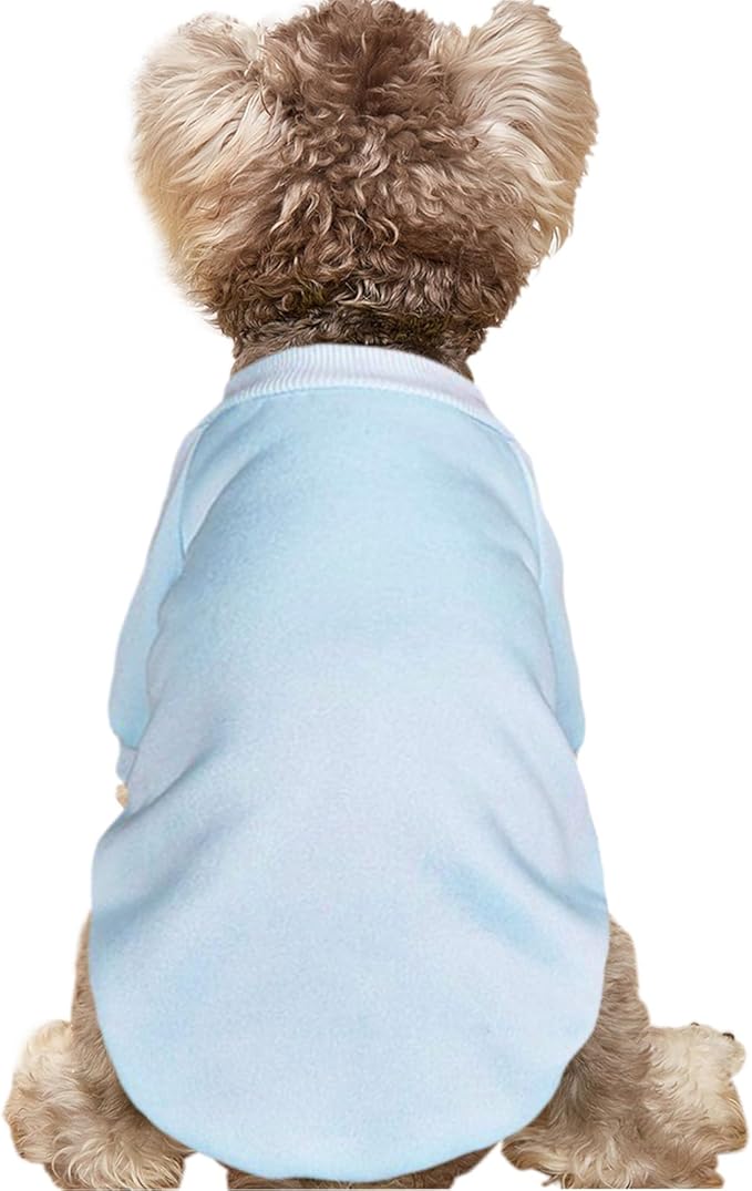 Puppy Sweater for Small Dogs Clothes Warm Winter Cat Clothe Pet Sweatshirt Knitwear Doggie Kitten Clothing, Light Blue, Large
