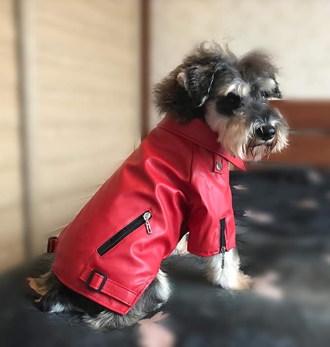 Lovelonglong Cool Dog Leather Jacket, Warm Coats Dogs Windproof Cold Weather Coats for Large Medium Small Dogs, Miniature Schnauzers Clothing Red L
