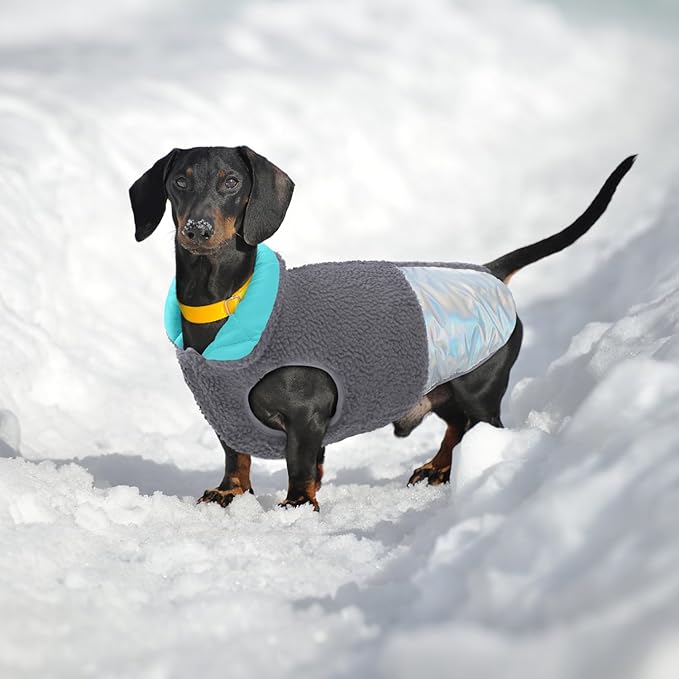 EMUST Warm Dog Jacket, Cozy Dog Fleece Coat with Leash Hole, Waterproof Reversible Winter Sweater Coats for Small Dogs, Grey, XS