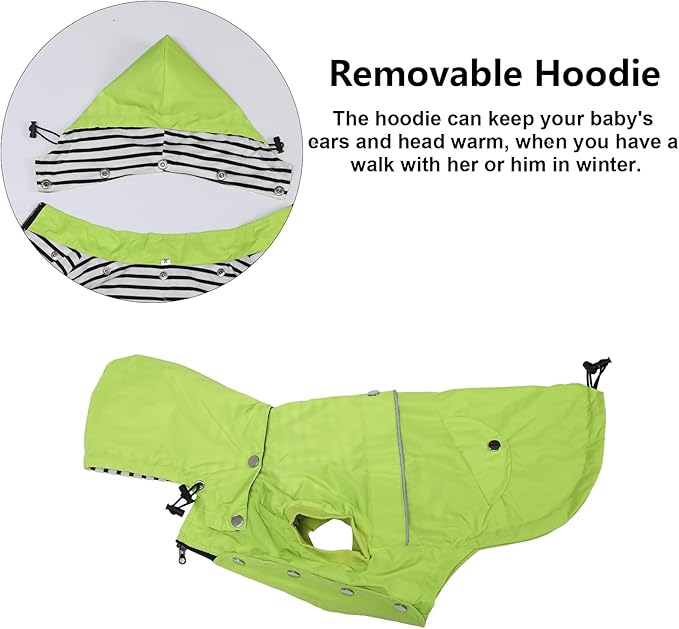 Dog Raincoat Waterproof Raincoats Dog rain Jacket Buttons Zipper Hood Drawstring Suitable for Small Medium Yorkie Terrier Schnauzer Poodle Border Collie Labrador 8lbs to 80lbs Green S