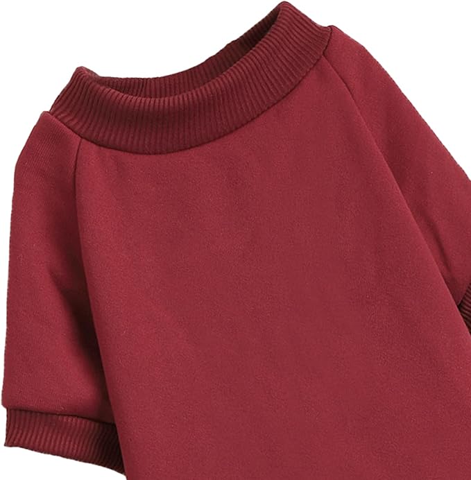Puppy Sweater for Small Dogs Clothes Warm Winter Cat Clothe Pet Sweatshirt Knitwear Doggie Kitten Clothing, Wine, Small