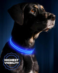 Illumiseen LED Dog Collar USB Rechargeable - Bright & High Visibility Lighted Glow Collar for Pet Night Walking - Weatherproof, in 6 Colors & 6 Sizes (Blue XX-Small)