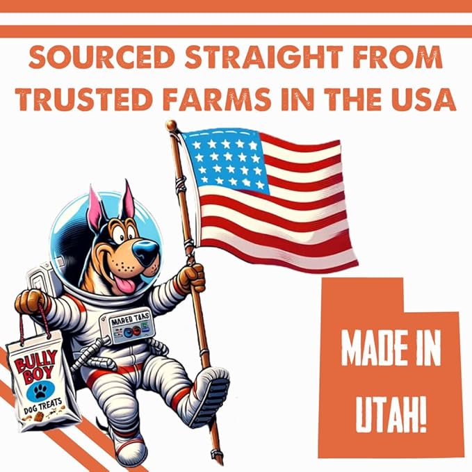 Bully Boy's Famous Mini Beef Training Nibs Dog Treats | Free from Wheat, Corn, Soy, or Gluten | USA Sourced Ingredients | with Smokehouse Beef | Made in Utah | 7 oz - 3 Pack