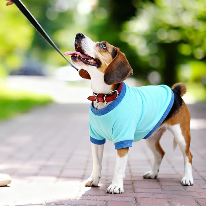 GreenJoy Classic Fleece Dog Sweater – Soft & Warm Stretchy Sweatshirt for Small Dogs & Cats, Cold-Weather Pullover for Everyday Wear (Light Blue, Large/X-Large)