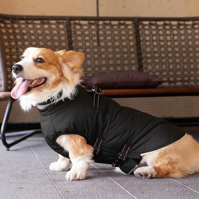 Small Dog Coat with Harness Built-in, Waterproof Reflective Fleece Lined - Warm Windproof Winter Jacket with Back Zipper, Cold Weather Snow Dog Coats - Black - XS