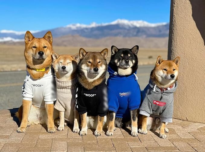 ChoChoCho Stylish Dog Hoodie Dog Clothes Streetwear Cotton Sweatshirt Fashion Outfit for Dogs Cats Puppy Small Medium Large (5XL, Black)