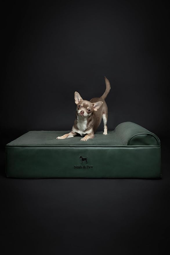 NOAH & PAW Dog Bed, 28x23x7.5 Inch, Orthopedic Dog Beds for Medium Size Pets, Eggshell Memory Foam Infused with Cooling Gel, Waterproof, Machine Washable, Includes Inner Cover (Faux Leather)