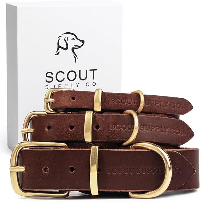 Classic Genuine Leather Dog Collar | Dog Collars for Medium Dogs, Small Dogs, Large Dogs & Extra Large Dog | Wide Dog Collar | Heavy Duty Dog Collar | Dark Brown (M: 0.8" Wide for 13.5"-16" Neck)