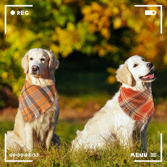 Vivifying Halloween Dog Bandanas, 2 Pack Thanksgiving Fall Classic Plaid Dog Scarf with Tassels Edges, Funny Pet Apparel & Accessories Costume for Photo Prop, and Party Decor (X-Large, Yellow&Orange)