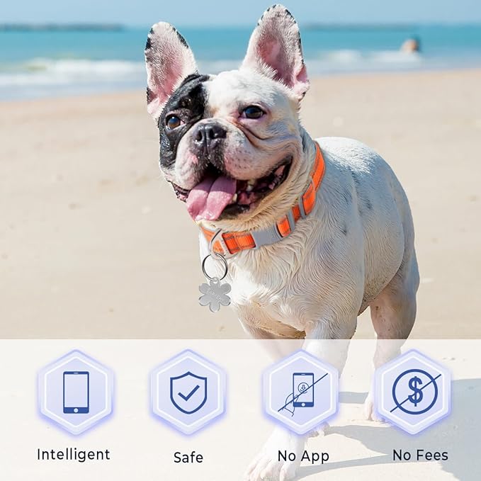 Dog Tags Personalized for Pets,Dog Name Tags QR Code,No Subscription Fees,Modifiable Pet Online Profile,Stainless Steel,No App Required,for Dogs and Cats Small,Medium,Large(Flower,Small)
