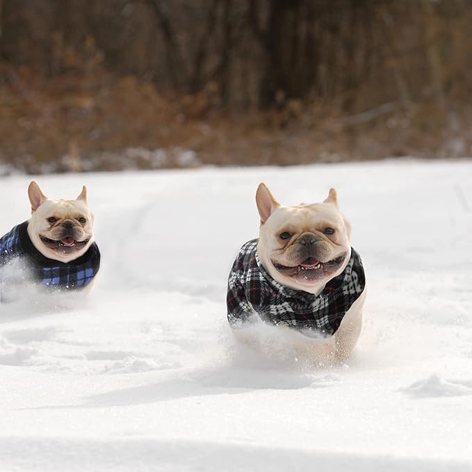 Weewooday 4 Pieces Winter Fabric Dog Sweaters with Leash Ring Soft Fleece Vest Pullover Pet Jacket Warm Dog Clothes Coats for Pet Puppy Cats Chihuahua(S(Neck:10.2-11” Chest:13.8-14.7”))