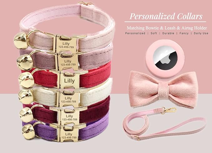 Personalized Cat Collar with Gold Buckle and Engraved Name Tag