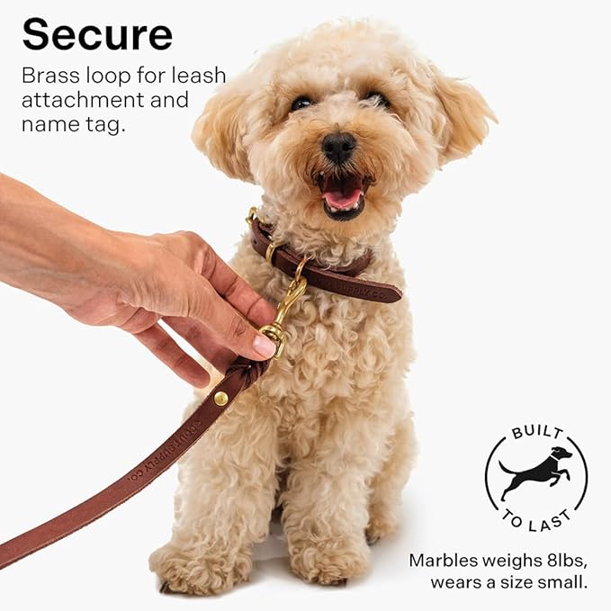 Classic Genuine Leather Dog Collar | Dog Collars for Medium Dogs, Small Dogs, Large Dogs & Extra Large Dog | Wide Dog Collar | Heavy Duty Dog Collar | Dark Brown (S: 0.8" Wide for 10.5"-13.5" Neck)