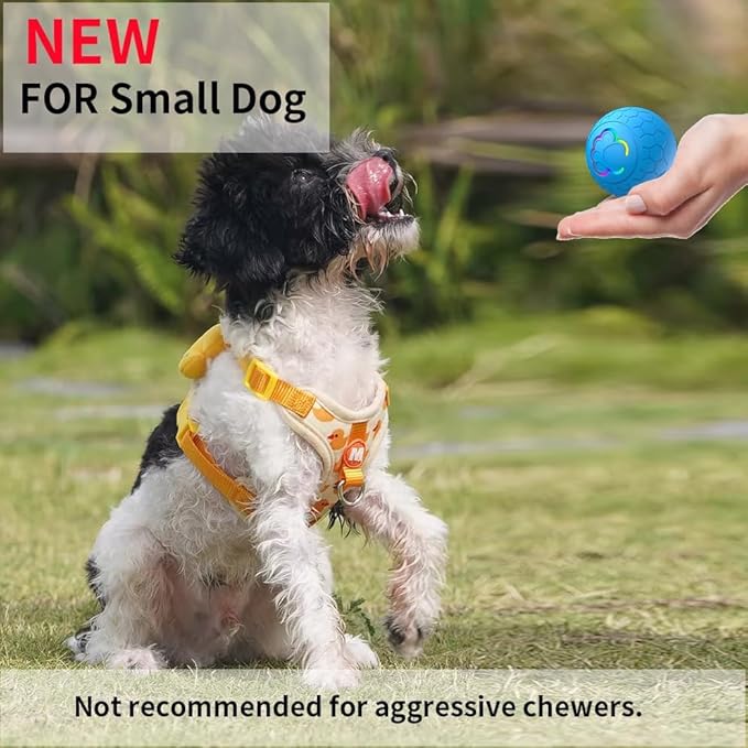 Interactive Dog Toys Dog Ball,Auto Bouncing Rotating Ball, Moving Pet Toys for Small Dogs 20 lbs (Size Small - 2.2-inch Diameter) Fun Gift for Boredom,USB Rechargeable(Blue)
