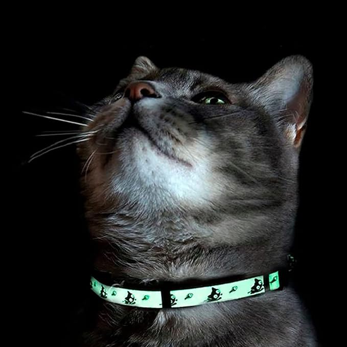 Pawtitas Pet Glow In The Dark Cat Collar with Safety Buckle and Bell Pink Lucky