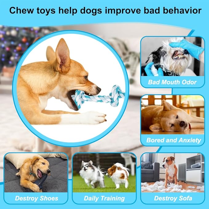 SZEE Dog Rope Toys, 14 in 3 Knots Chew Rope for Medium and Small Dogs, Natural Cotton Pull Toy for Tug of War and Teeth Cleaning (Blue)