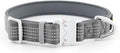Plutus Pet Reflective Dog Collar with Aviation Aluminum Buckle, Neoprene Padded for Comfort, Lightweight, Heavy Duty Nylon Collar for Puppy Small Medium Large Dogs (Gray, XL)