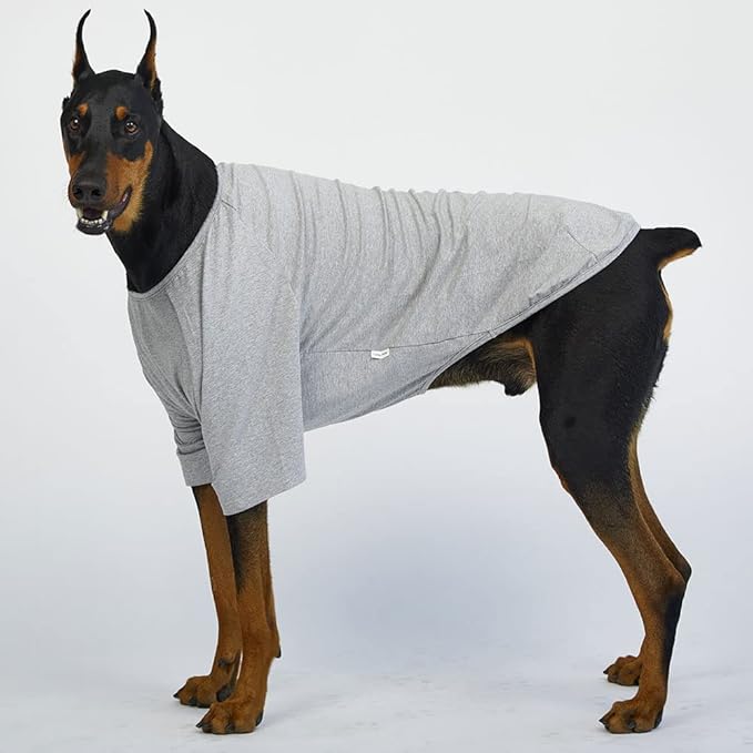 Dog Shirt for Small Dogs Plain T-Shirts Soft Breathable Dog Cotton Shirt pet Clothes (X-Large, Gray)